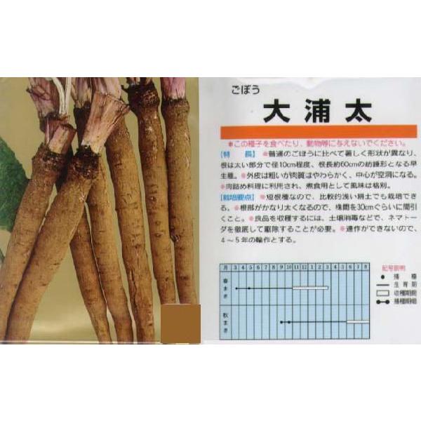 yS{EzYkŒ0050l/܁i8mlj