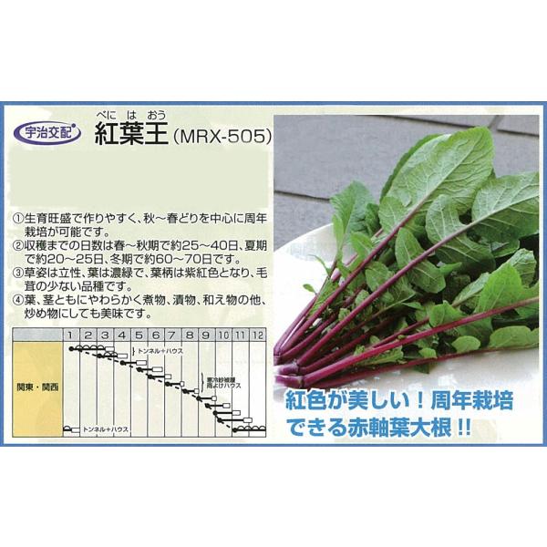 yt_CRzgtiMRX-505jkFzl/܁i8mlj