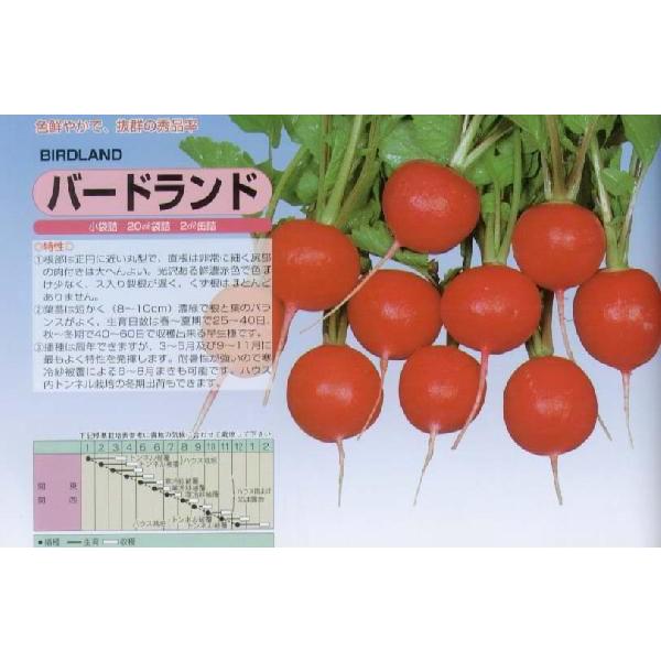 y\卪zo[hhkێl/܁i6mlj