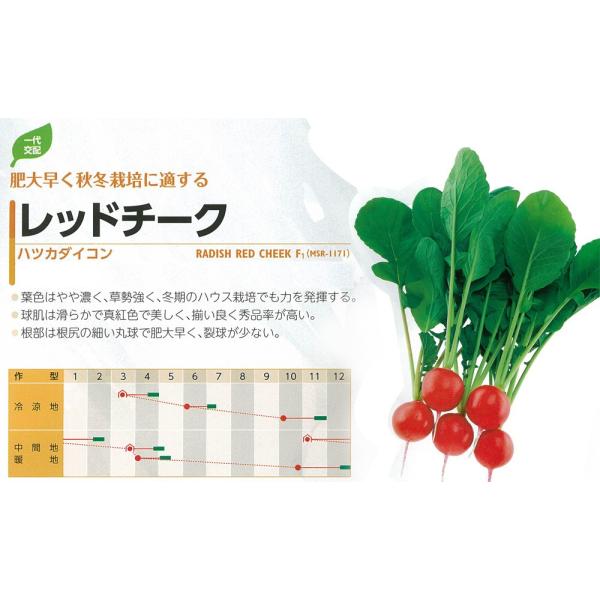 y\卪zncJ_CR@bh`[NiMSR-1171jkz0052l/܁i4.0mlj