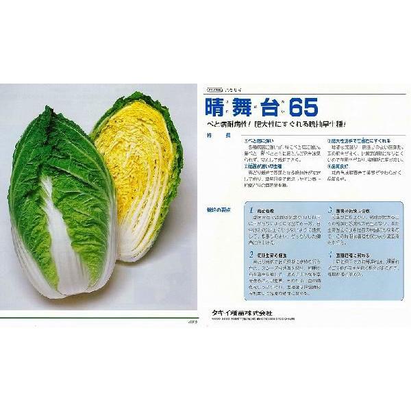 ynNTCz65k^LCzl/vC~OybgL5痱