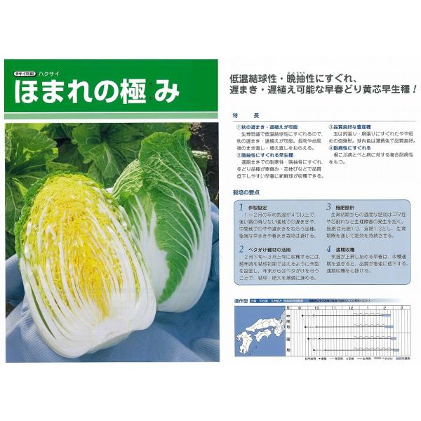 ynNTCzق܂̋ɂ݁k^LCzl/܁i0.8mlj