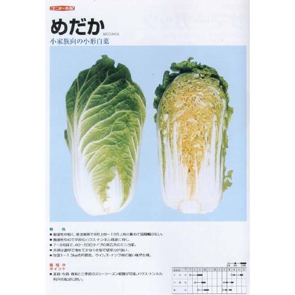 ynNTCz߂؁kigzl/܁i0.5mlj