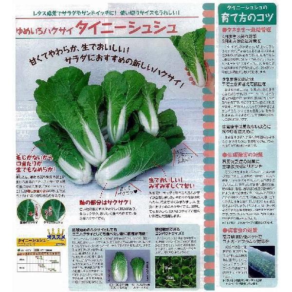 �y�n�N�T�C�z�^�C�j�[�V���V���k�T�J�^��z�l/�y���b�g����