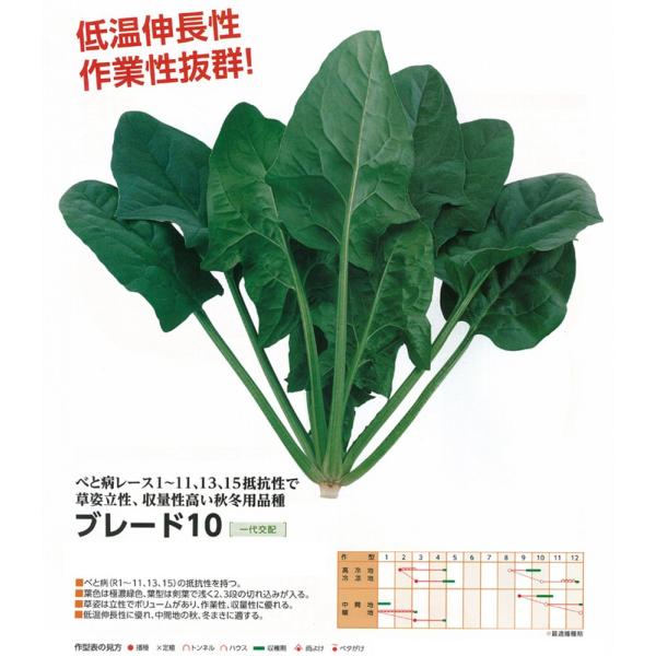 yzE\Ezu[h10kz0052l/1dl