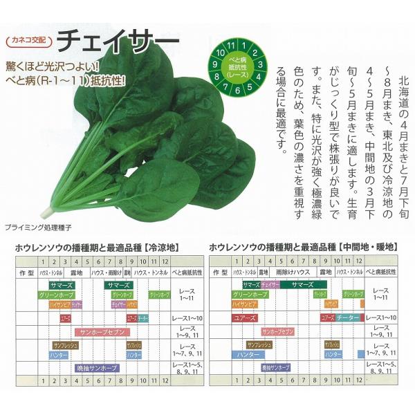 yzE\Ez`FCT[kJlRzl/M3