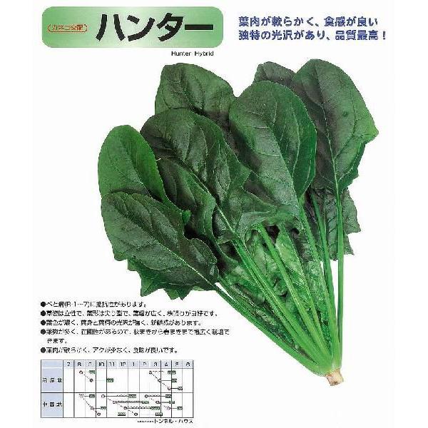 yzE\Ezn^[kJlRzl/܁i32.0mlj