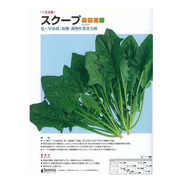 yzE\EzXN[vkziigjl/܁i20mlj