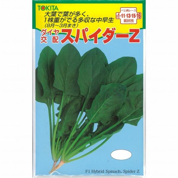 yzE\EzXpC_[ZiTSX-357jk_Czl / M3