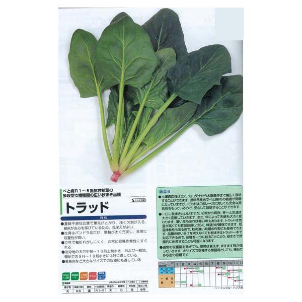 yzE\EzgbhkTJ^zl/M3PRIMAX