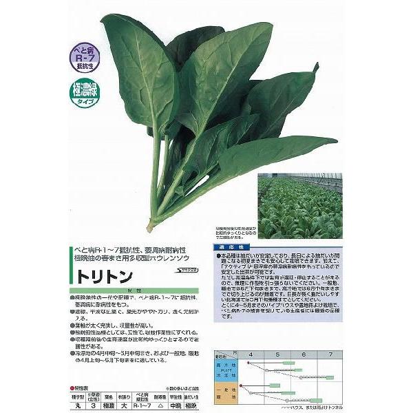 yzE\Ezgg  (S-PRIMAX) kTJ^zl/M3