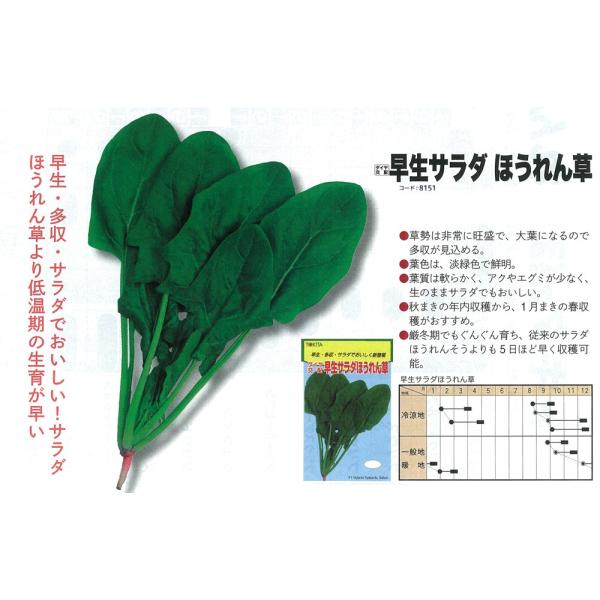 yzE\EzT_ق񑐁k_Czl/܁i50.0mlj