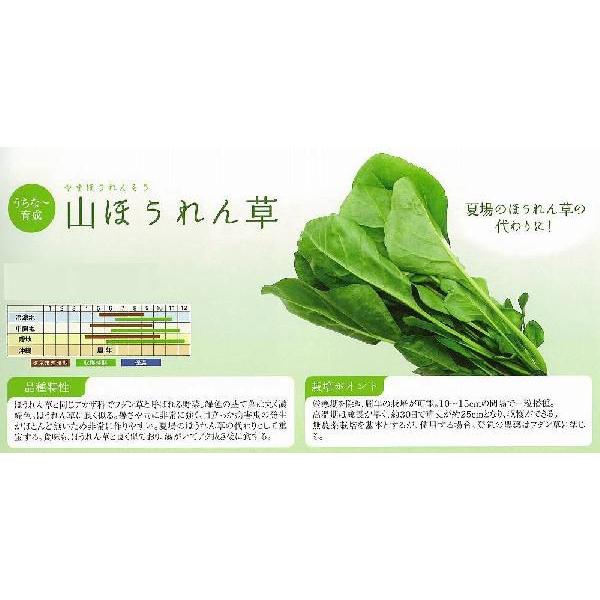 yzE\EzRق񑐁kȁ`琬l/܁i20mlj