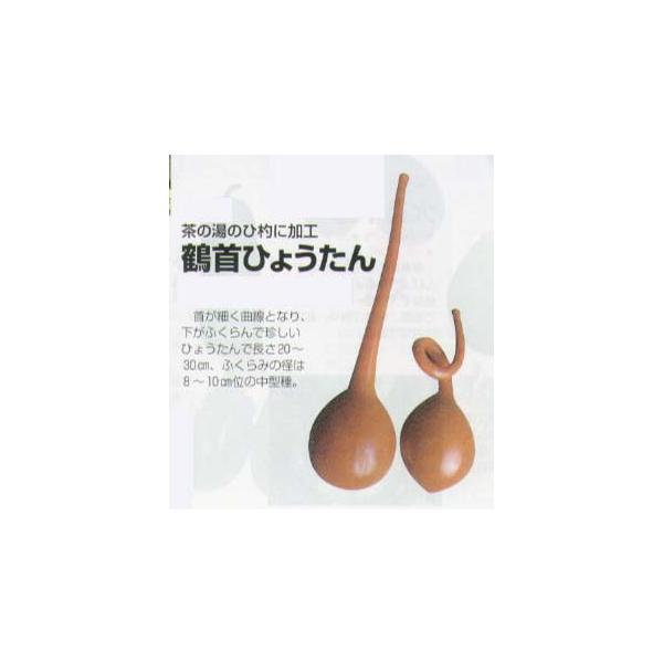 otaseed_t-hytn-tsurukubi