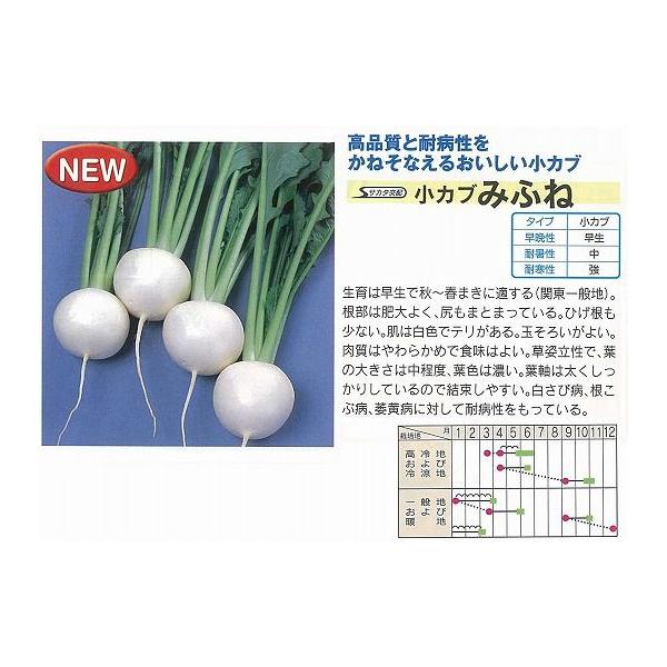 yJuz ݂ӂˁkTJ^zl/܁i3mlj