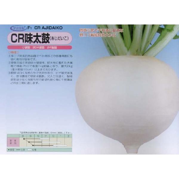 yJuzCRہkFzl/܁i2mlj