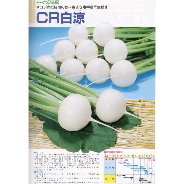 yJuzCRkg[zNzl/܁i4mlj