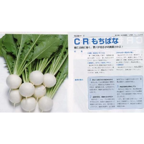 yJuzCR΂ȁk^LCzl/܁i3.5mlj