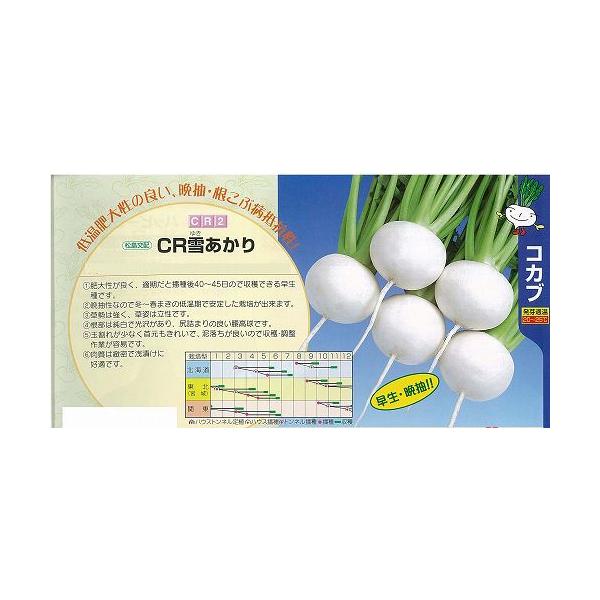 yJuzCRႠkzl/܁i2.4mlj