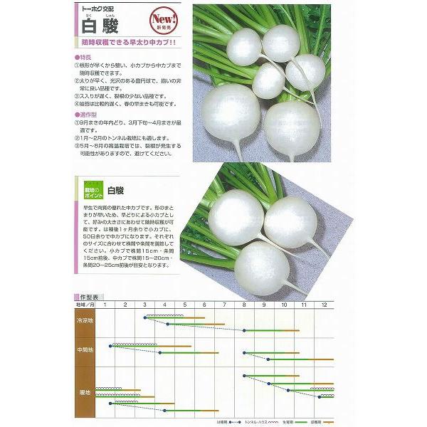 yJuzxkg[zNzl/܁i4mlj