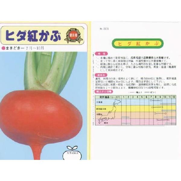 yJuzˍgԁiЂgԁjkŒ0049l/