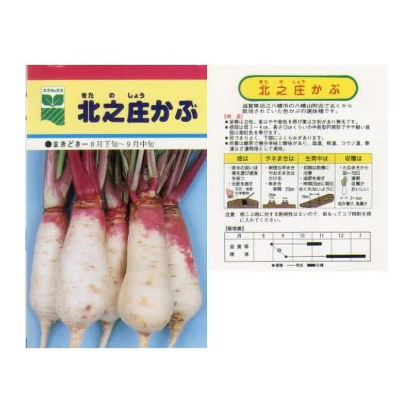 yJuz̓`؃V[Y@kVԁkŒicjl/܁i2.5mlj