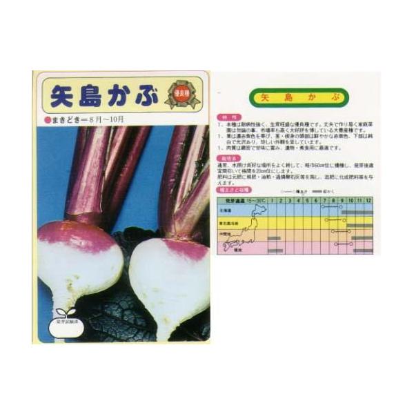 yJuzԁkŒl/܁i2.5mlj