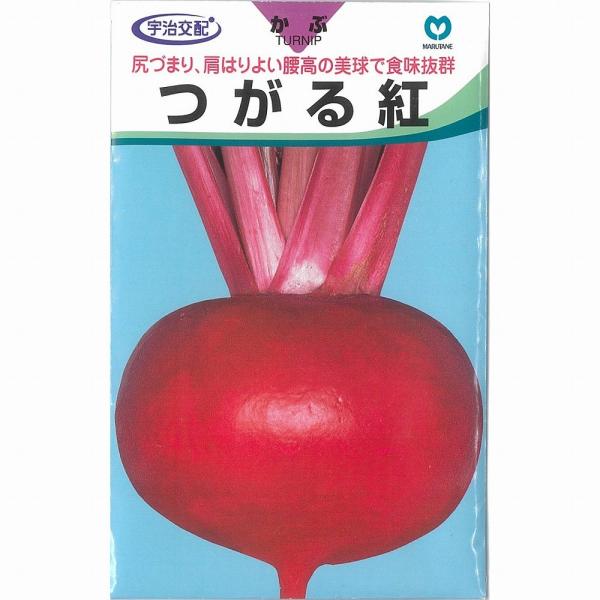 カブ】赤茎つがる紅かぶ〔宇治交配〕/小袋（3ml） : 家庭菜園