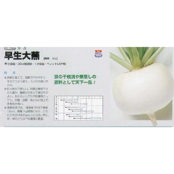 yJuz啓k^LCzl/܁i3.5mlj