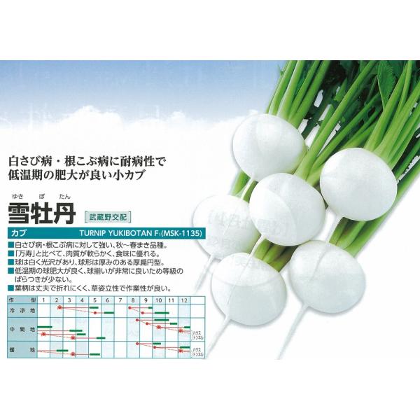 yJuz@ቲOiMSK-1135jkzl/܁i2mlj