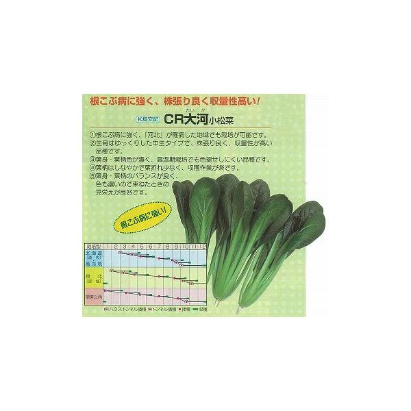 yR}ciz؁@CŔkzl/܁i6.6mlj