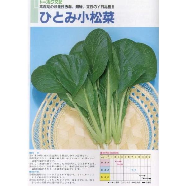 yR}cizЂƂ݁kg[zNzl/10ml