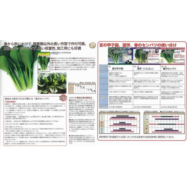 yR}cizt̃Zock_Czl/܁i10.0mlj