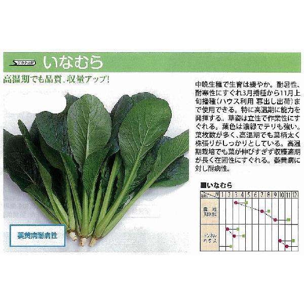 yR}cizȂނkTJ^zl/20ml