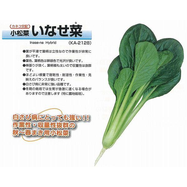 yR}cizȂ؁kJlRzl/܁i5.8mlj