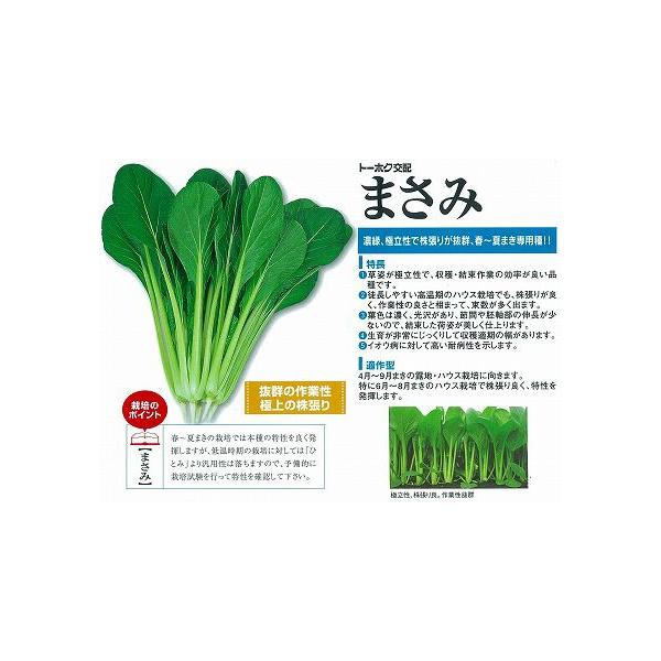 yR}ciz܂݁kg[zNzl/10ml