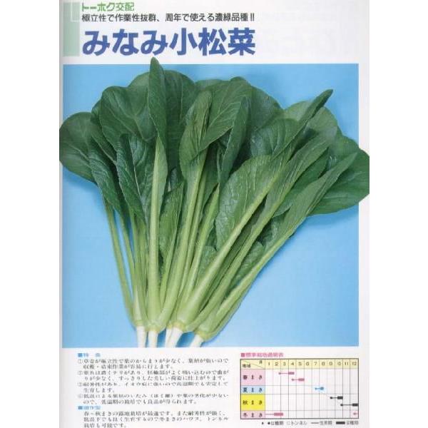 yR}ciz݂Ȃ݁kg[zNzl/܁i10mlj