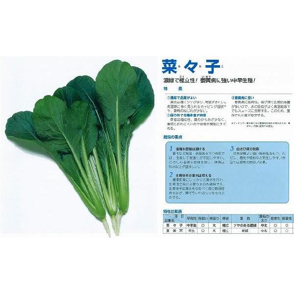 yR}ciz؁Xqk^LCzl/20ml