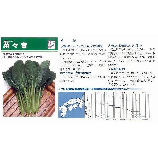 yR}ciz؁Xk^LCzl/܁i5.0mlj