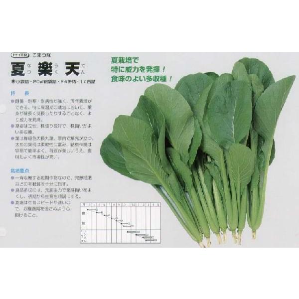 yR}cizĊyVk^LCzl/܁i7.0mlj