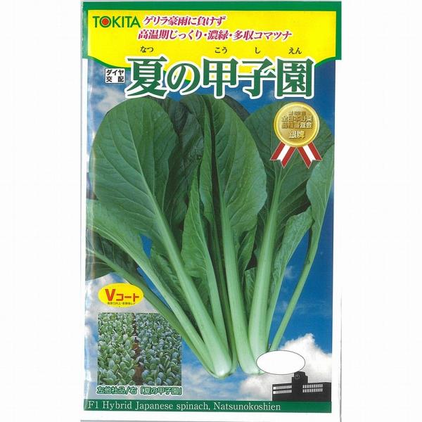 yR}cizĂ̍bqk_Czl/܁i10.0mlj