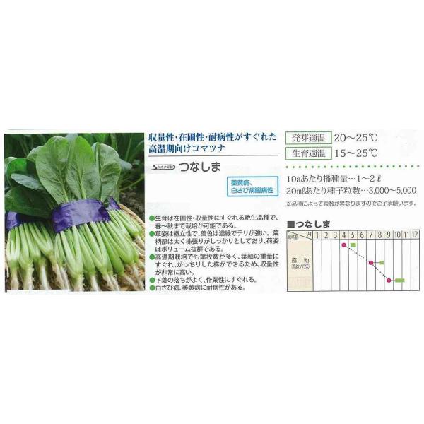 yR}cizȂ܁kTJ^zl/20ml