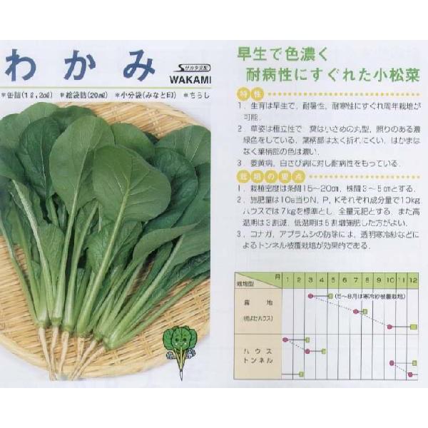 yR}ciz킩݁kTJ^zl/20ml