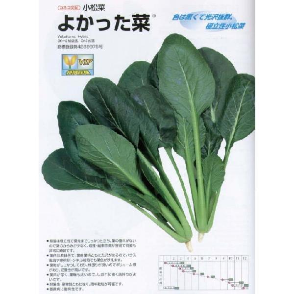 yR}ciz悩؁kJlRzl/܁i7.6mlj