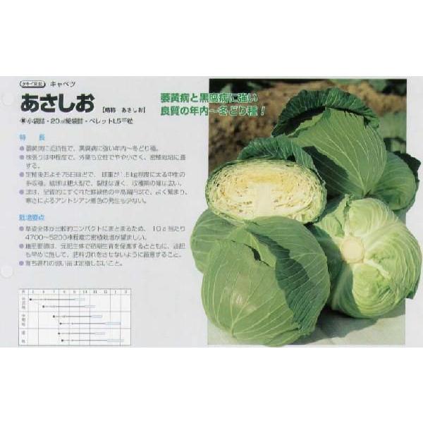 yLxczk^LCzl/܁i1.2mlj