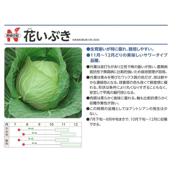 yLxczԂԂiN-334jkzl/܁i100j