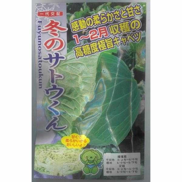 キャベツ】甘藍 冬のサトウくん〔一代交配0494〕/コート小袋（40