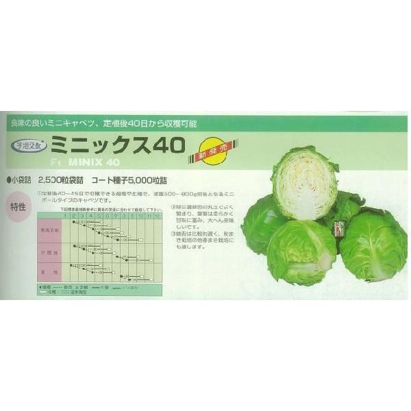 yLxcz~jbNX40kFzl/܁i70j