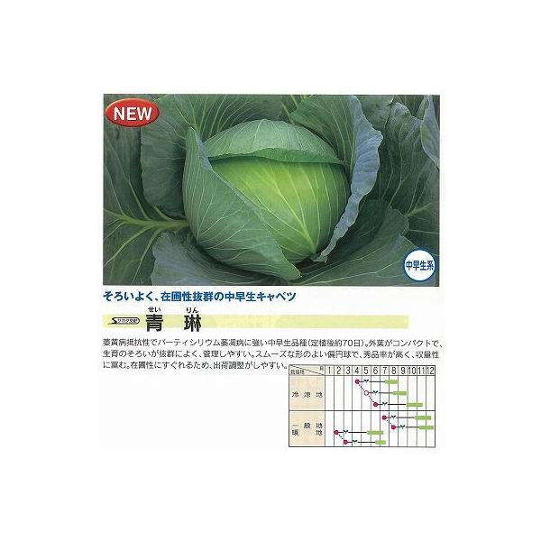 yLxczԁkTJ^zlso^iti햼SAKCAB001COo֎~ii_HPjQƁj/2痱