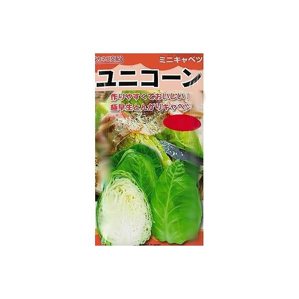 yLxczjR[kJlRzl/܁i220j